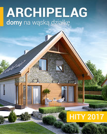 Domy na wąską działkę